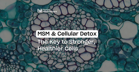 MSM and Cellular Detox: The Key to Stronger, Healthier Cells