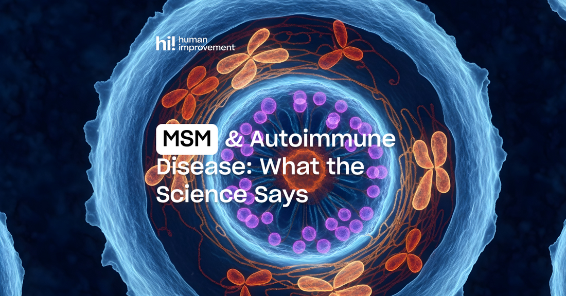 Can MSM Help with Autoimmune Disease Symptoms? Here’s What the Science (and Real People) Say