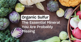 Organic Sulfur: The Essential Mineral You're Probably Missing