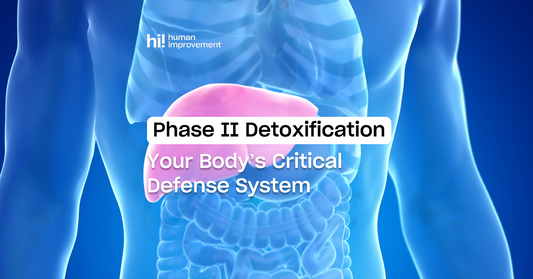 Phase II Detoxification: Your Body's Critical Defense System