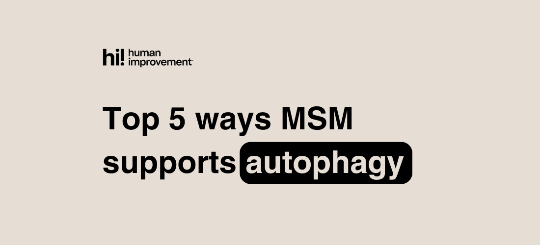 Top 5 Ways MSM Supports Autophagy