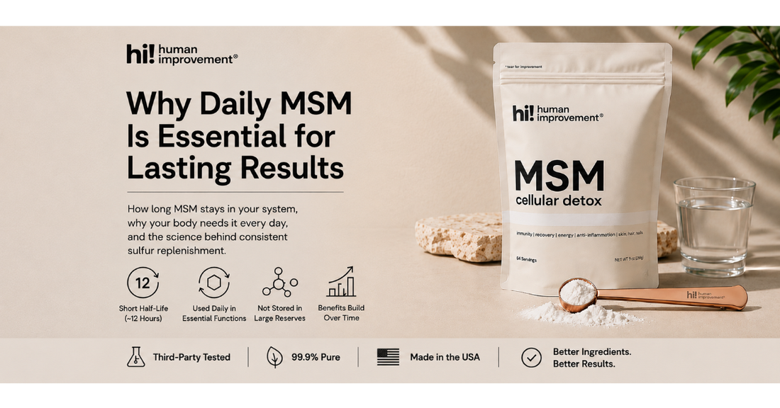 Why Daily MSM is Essential for Lasting Results