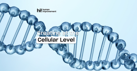 Creatine at the Cellular Level: Why It Matters More Than You Think