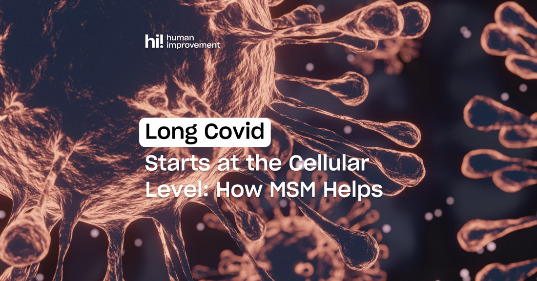 Can MSM Help with Long COVID Symptoms?