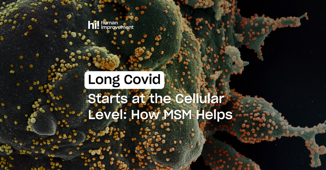 Can MSM Help with Long COVID Symptoms?