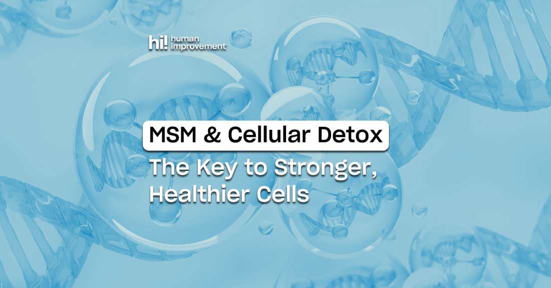 MSM and Cellular Detox: The Key to Stronger, Healthier Cells